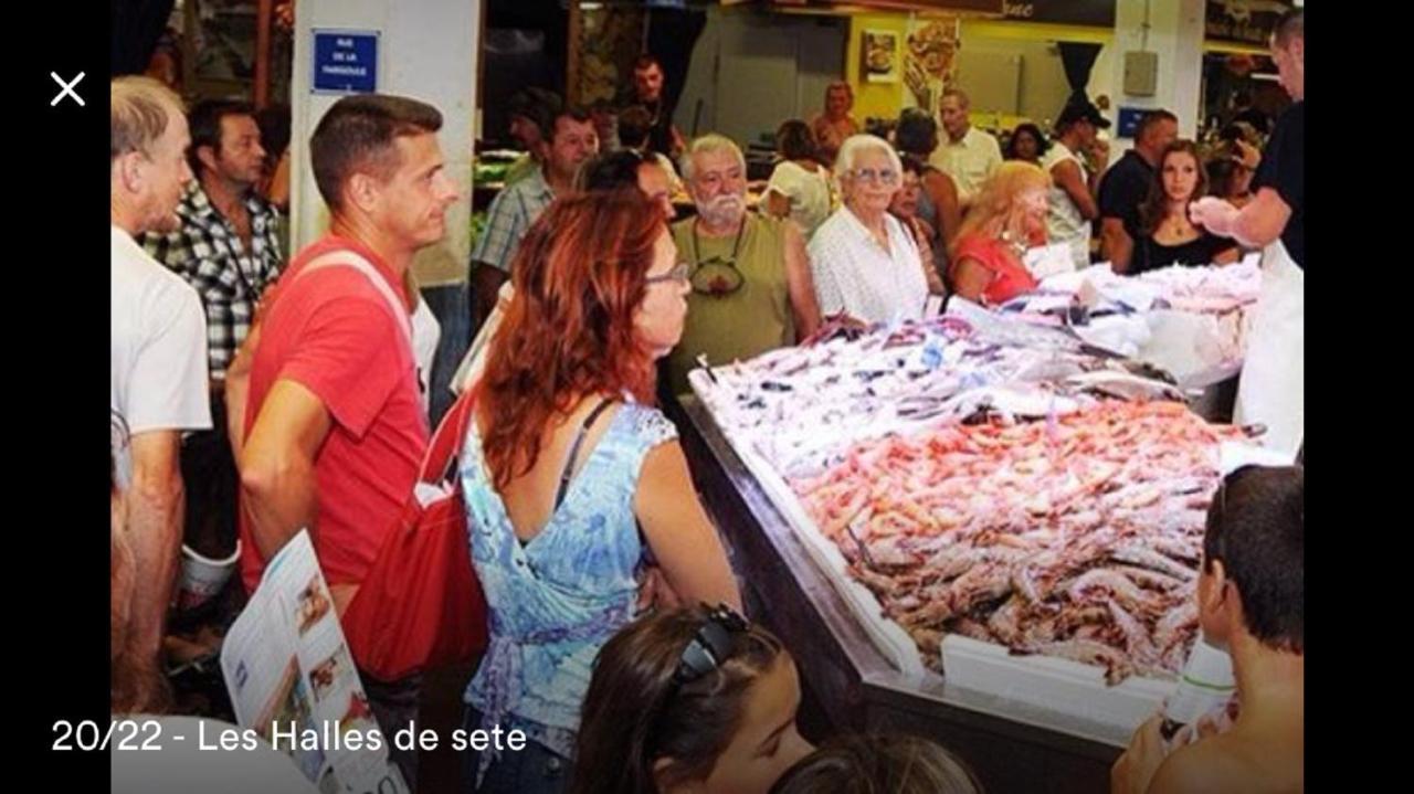 Appartamento Splendide T2 Neuf Coocoonig Avec Petit Patio Sète Esterno foto
